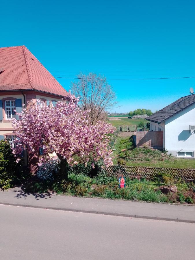 Gaestehaus Brunhilde Wittenweier Exterior foto